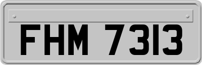 FHM7313