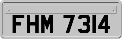 FHM7314