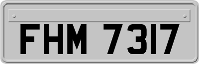 FHM7317
