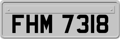 FHM7318