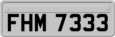 FHM7333
