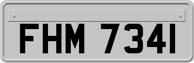 FHM7341