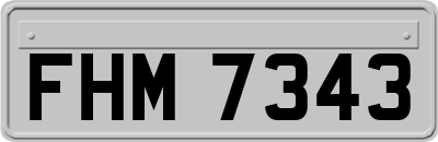 FHM7343