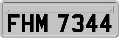 FHM7344