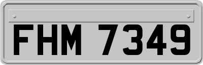 FHM7349