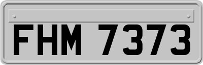 FHM7373