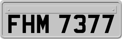 FHM7377