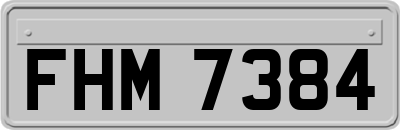 FHM7384