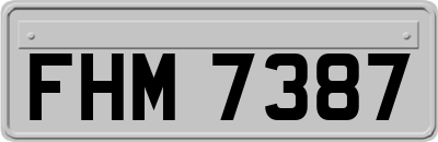 FHM7387