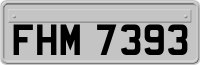 FHM7393