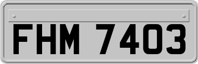 FHM7403