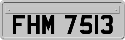 FHM7513