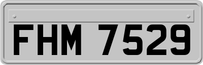 FHM7529