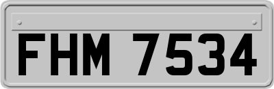 FHM7534