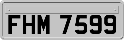 FHM7599