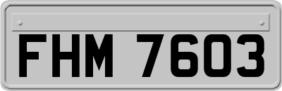 FHM7603