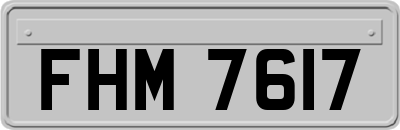 FHM7617
