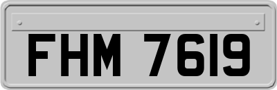 FHM7619