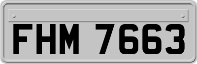 FHM7663