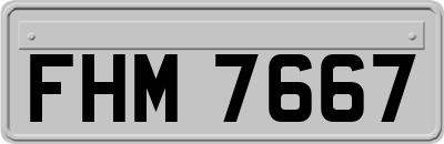 FHM7667