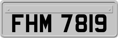 FHM7819