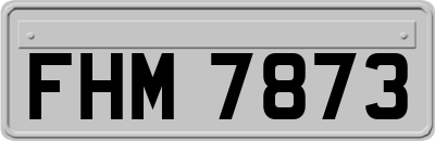 FHM7873