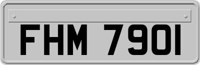 FHM7901