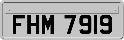 FHM7919