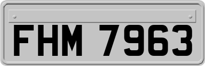 FHM7963