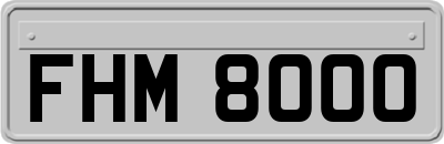 FHM8000