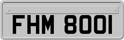 FHM8001