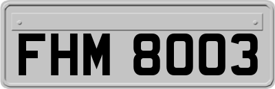 FHM8003
