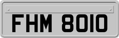 FHM8010