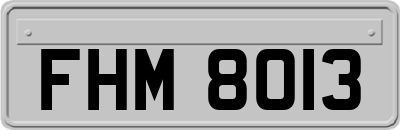 FHM8013