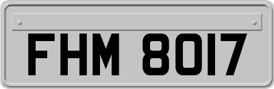 FHM8017