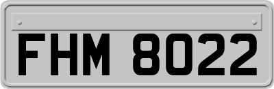 FHM8022