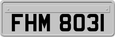 FHM8031