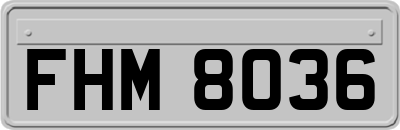 FHM8036