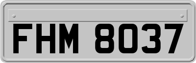 FHM8037
