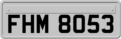 FHM8053