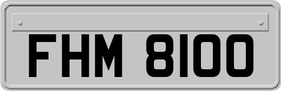 FHM8100