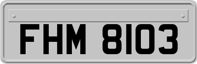 FHM8103