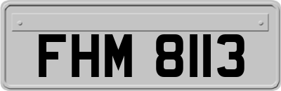 FHM8113