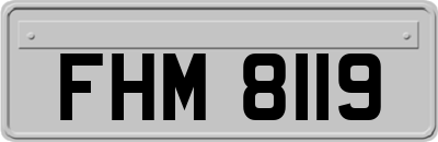 FHM8119