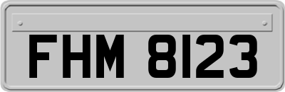 FHM8123