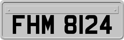 FHM8124