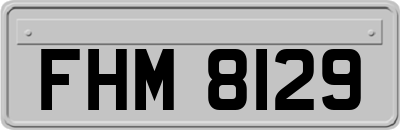 FHM8129