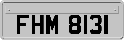 FHM8131