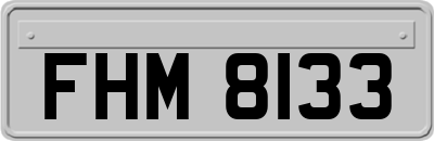 FHM8133