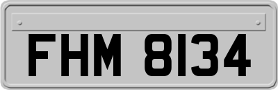 FHM8134